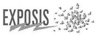 EXPOSIS logo