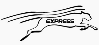EXPRESS logo