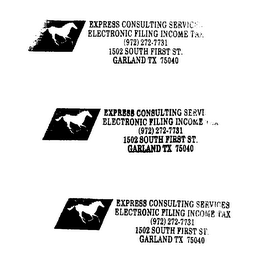 EXPRESS CONSULTING SERVICES ELECTRONIC FILING INCOME TAX logo