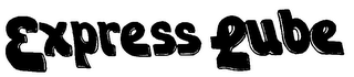 EXPRESS LUBE logo