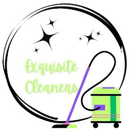EXQUISITE CLEANERS logo