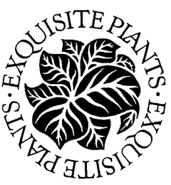 EXQUISITE PLANTS logo