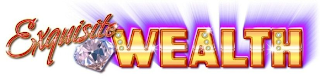 EXQUISITE WEALTH logo