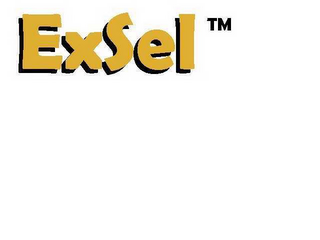 EXSEL logo