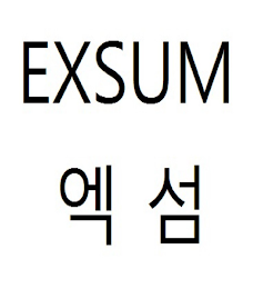 EXSUM logo