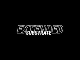EXTENDED SUBSTRATE logo