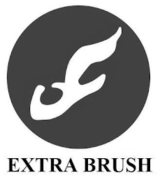 EXTRA BRUSH logo