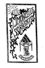 EXTRA LIMONCELLO SORRENTO DELICIOUS logo