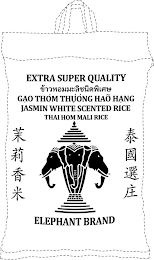 EXTRA SUPER QUALITY GAO THOM THUONG HAO HANG JASMIN WHITE SCENTED RICE ELEPHANT BRAND logo
