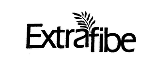 EXTRAFIBE logo