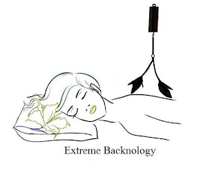 EXTREME BACKNOLOGY logo