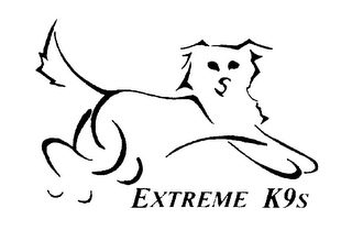 EXTREME K9S logo