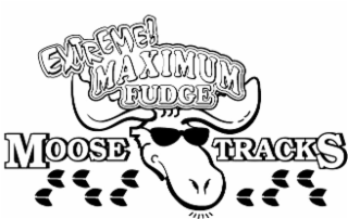 EXTREME! MAXIMUM FUDGE MOOSE TRACKS