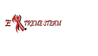 EXTREME STEAM logo
