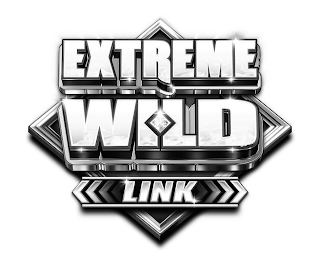 EXTREME WILD LINK logo
