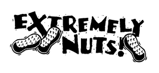 EXTREMELY NUTS! logo