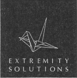 EXTREMITY SOLUTIONS logo