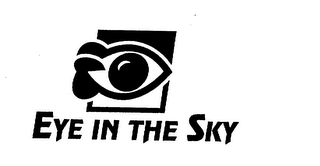 EYE IN THE SKY logo