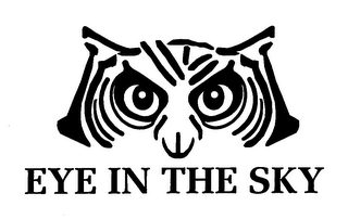EYE IN THE SKY logo