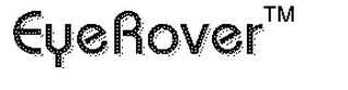 EYEROVER logo