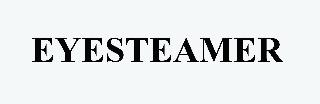 EYESTEAMER logo