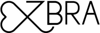 EZBRA logo