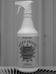 EZZY SHINE logo