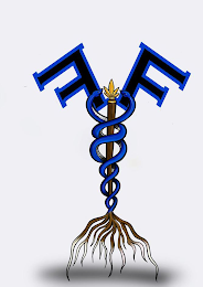 F F logo