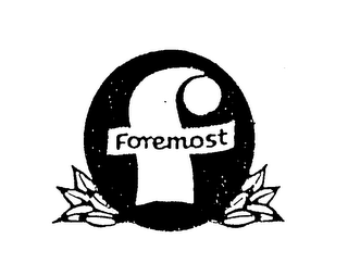 F FOREMOST logo