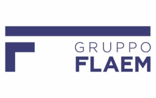 F GRUPPO FLAEM logo