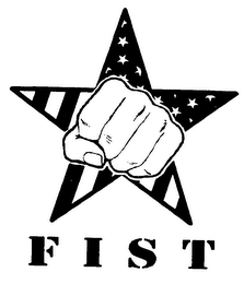 F I S T logo