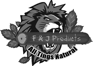 F & J PRODUCTS ALL TINGS NATURAL logo