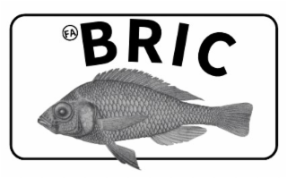 FA BRIC logo
