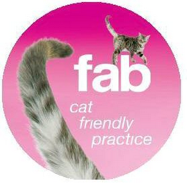 FAB CAT FRIENDLY PRACTICE logo