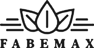 FABEMAX logo