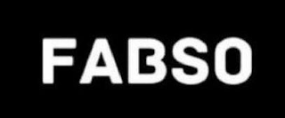 FABSO logo