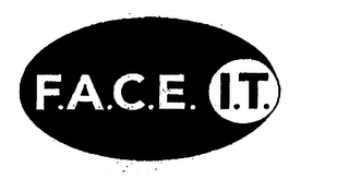 F.A.C.E. I.T. logo