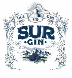 FACTA NON VERBA SUR GIN logo