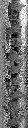 FADED logo