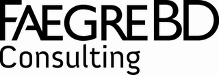 FAEGREBD CONSULTING logo