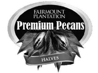 FAIRMOUNT PLANTATION PREMIUM PECANS HALVES logo