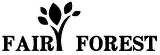 FAIRY FOREST logo