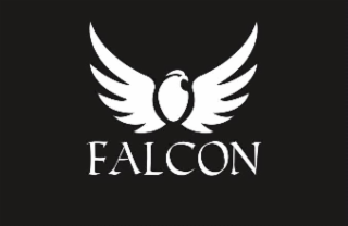 FALCON logo