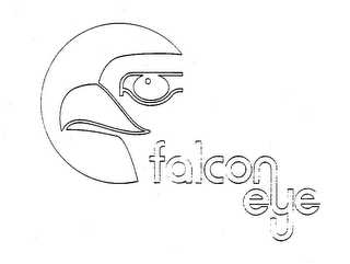 FALCON EYE logo