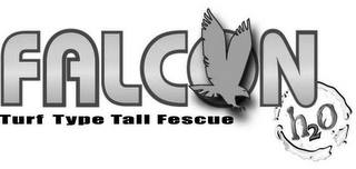 FALCON TURF TYPE TALL FESCUE H2O logo