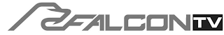 FALCON TV logo