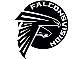 FALCONSVISION