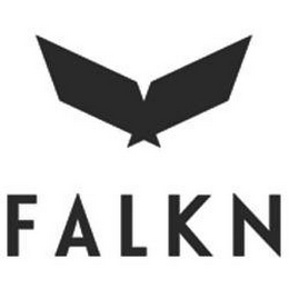 FALKN logo