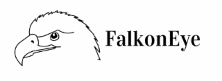 FALKONEYE logo