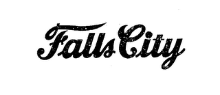 FALLS CITY logo